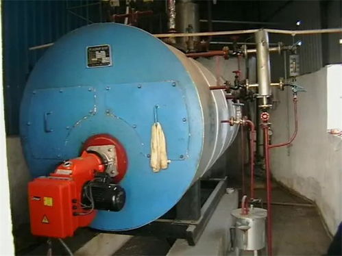 燃?xì)忮仩t節(jié)能 東川區(qū)燃?xì)忮仩t 天成熱能廠家 查看