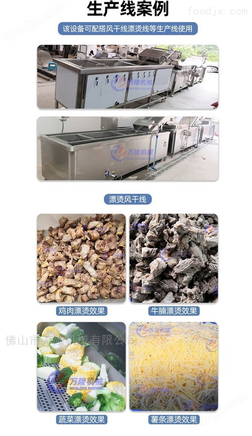 氣浴式清洗機香菇菌類加工工廠果蔬凈菜設備