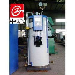 燃氣蒸汽發生器 中啟熱能設備 商燃氣鍋爐