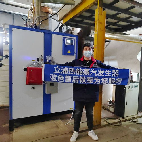 立浦熱能商用燃氣蒸汽發生器300kg釀酒豆腐煮豆漿蒸饅頭溫控燃氣蒸汽鍋爐lws0.3 0.7 y q 谷瀑環保