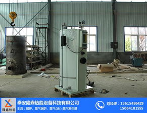 小型電熱蒸汽發生器 蒸汽發生器 隆鑫熱能設備