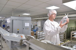 松江食品廠在哪里