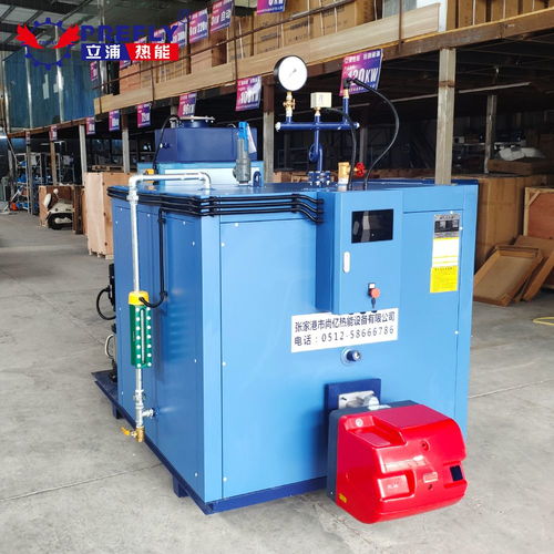 立浦熱能500kg燃氣蒸汽發生器蒸汽養護室箱梁蒸養t梁養護 蒸汽鍋爐lws0.5 0.7 y.q 谷瀑環保