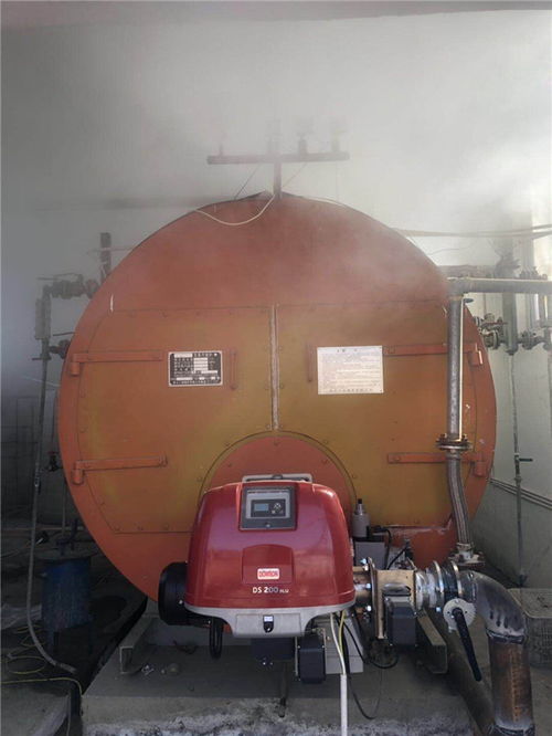 沼氣燃燒器總代 在線(xiàn)咨詢(xún) 青海燃燒器