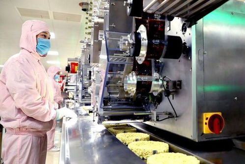 年產(chǎn)140億份，河北農(nóng)業(yè)縣崛起全球最大方便面生產(chǎn)基地背后的熱能裝備支撐